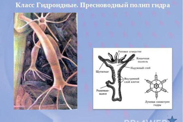 Как сделать заказ на кракен