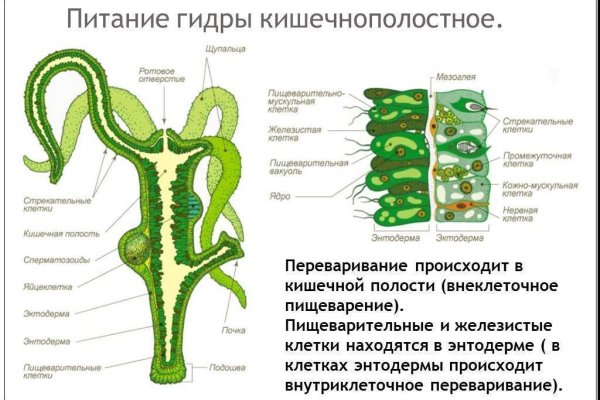 Актуальный домен кракена