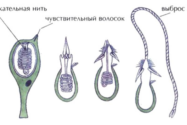 Правильная ссылка онион кракен